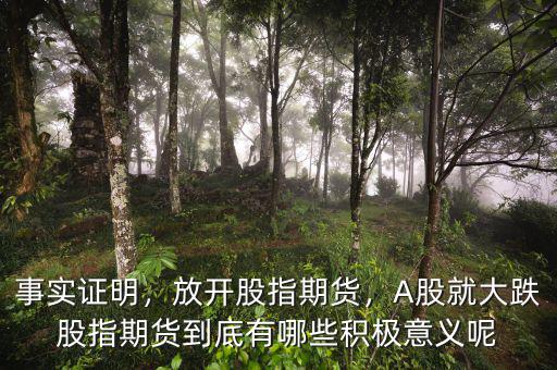 事實(shí)證明，放開(kāi)股指期貨，A股就大跌股指期貨到底有哪些積極意義呢