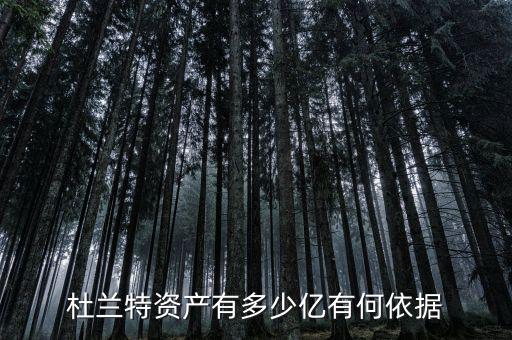 李元兵有多少資產,杜蘭特資產有多少億