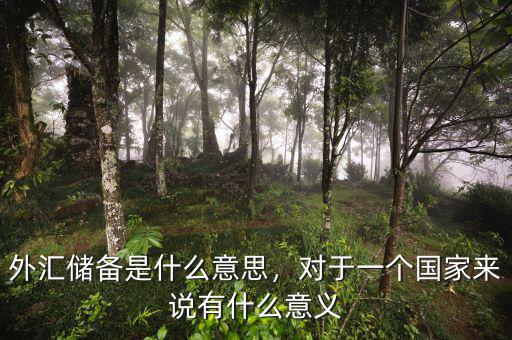 外匯儲(chǔ)備是什么意思，對(duì)于一個(gè)國家來說有什么意義