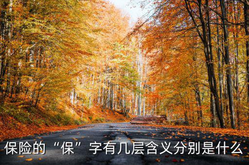 保險的“?！弊钟袔讓雍x分別是什么