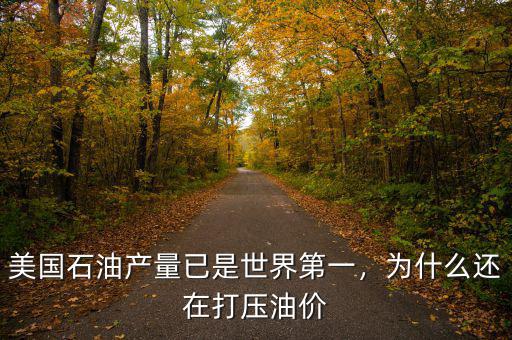 美國石油產量已是世界第一，為什么還在打壓油價