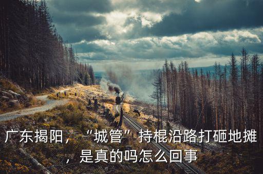 廣東揭陽，“城管”持棍沿路打砸地?cái)偅钦娴膯嵩趺椿厥? class=