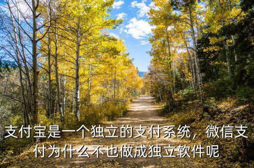 支付寶是一個獨(dú)立的支付系統(tǒng)，微信支付為什么不也做成獨(dú)立軟件呢