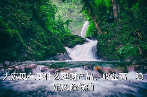 大家現(xiàn)在買什么理財產(chǎn)品，收益高，穩(wěn)定風(fēng)險低的