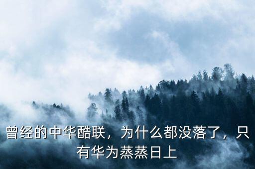 曾經(jīng)的中華酷聯(lián)，為什么都沒落了，只有華為蒸蒸日上