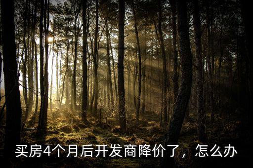買房4個月后開發(fā)商降價了，怎么辦