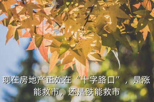 現(xiàn)在房地產(chǎn)正處在“十字路口”，是漲能救市，還是跌能救市