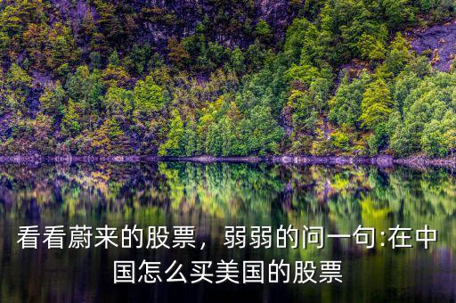 看看蔚來(lái)的股票，弱弱的問(wèn)一句:在中國(guó)怎么買美國(guó)的股票