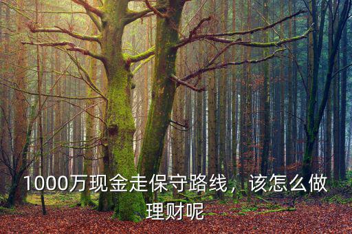 1000萬現金走保守路線，該怎么做理財呢