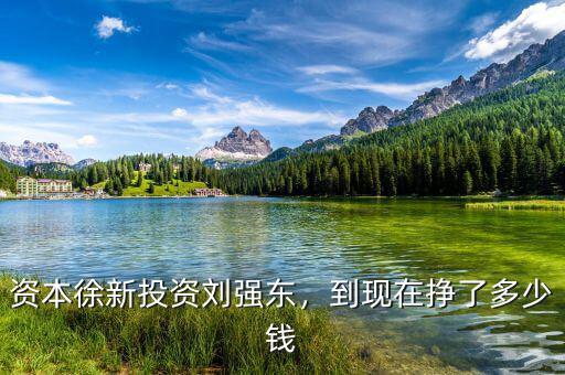 資本徐新投資劉強(qiáng)東，到現(xiàn)在掙了多少錢