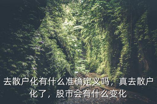 去散戶化有什么準(zhǔn)確定義嗎，真去散戶化了，股市會(huì)有什么變化