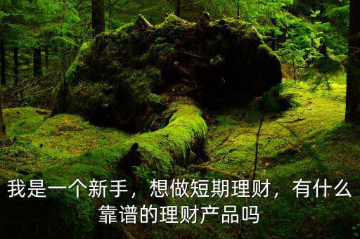 我是一個(gè)新手，想做短期理財(cái)，有什么靠譜的理財(cái)產(chǎn)品嗎