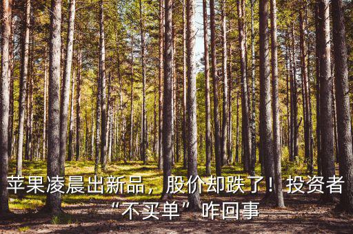 蘋果凌晨出新品，股價卻跌了！投資者“不買單”咋回事