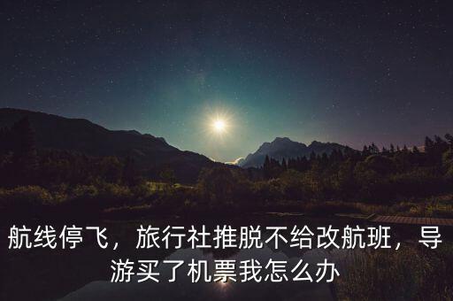 航線停飛，旅行社推脫不給改航班，導(dǎo)游買了機票我怎么辦