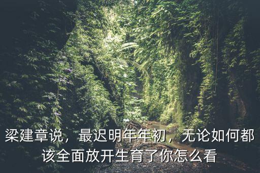 梁建章說，最遲明年年初，無論如何都該全面放開生育了你怎么看