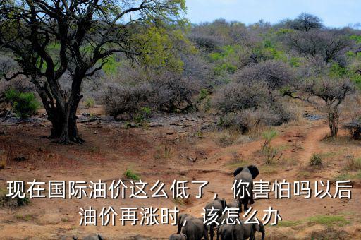 現(xiàn)在國際油價(jià)這么低了，你害怕嗎以后油價(jià)再漲時(shí)，該怎么辦