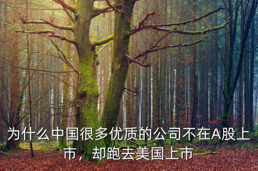為什么中國很多優(yōu)質(zhì)的公司不在A股上市，卻跑去美國上市