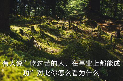 有人說”吃過苦的人，在事業(yè)上都能成功”對(duì)此你怎么看為什么