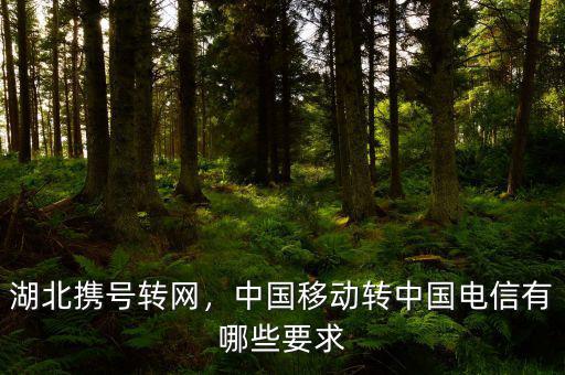 湖北攜號(hào)轉(zhuǎn)網(wǎng)，中國(guó)移動(dòng)轉(zhuǎn)中國(guó)電信有哪些要求