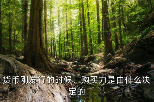 貨幣剛發(fā)行的時候，購買力是由什么決定的