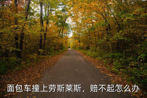 面包車撞上勞斯萊斯，賠不起怎么辦