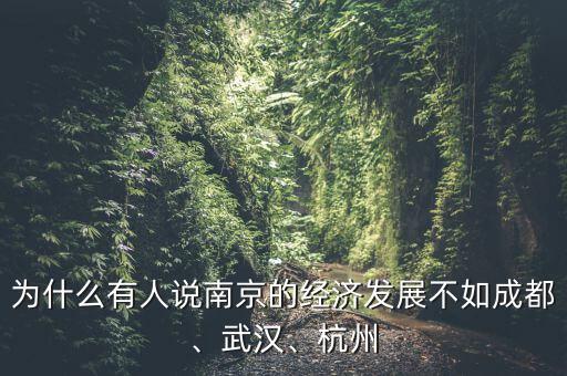 為什么有人說南京的經(jīng)濟(jì)發(fā)展不如成都、武漢、杭州