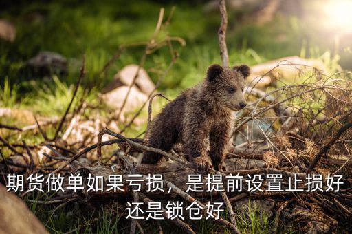 期貨做單如果虧損，是提前設(shè)置止損好還是鎖倉好