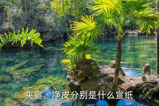 夾宣，凈皮分別是什么宣紙