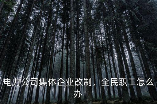 電力公司集體企業(yè)改制，全民職工怎么辦