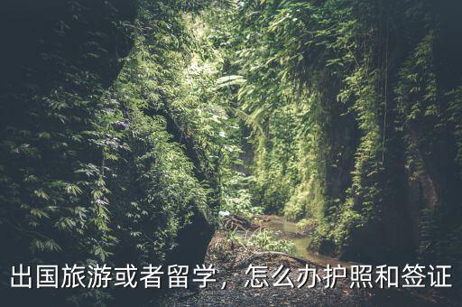 出國旅游或者留學(xué)，怎么辦護(hù)照和簽證