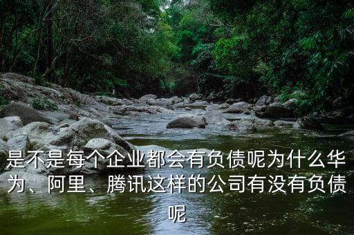 是不是每個(gè)企業(yè)都會(huì)有負(fù)債呢為什么華為、阿里、騰訊這樣的公司有沒(méi)有負(fù)債呢