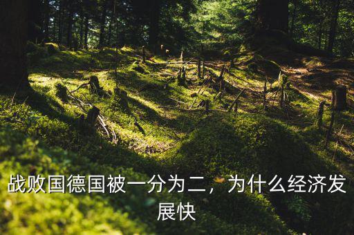 戰(zhàn)敗國德國被一分為二，為什么經(jīng)濟(jì)發(fā)展快