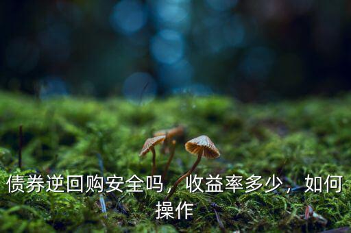債券逆回購(gòu)安全嗎，收益率多少，如何操作