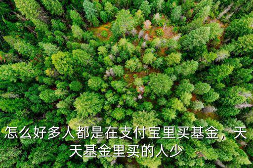 怎么好多人都是在支付寶里買基金，天天基金里買的人少