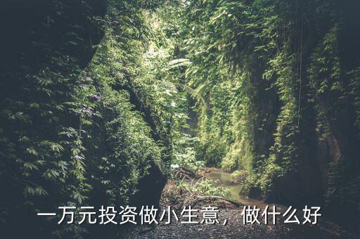 一萬元投資做小生意，做什么好