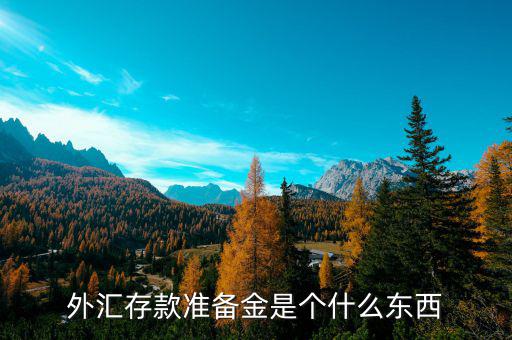 外匯存款準(zhǔn)備金是個(gè)什么東西