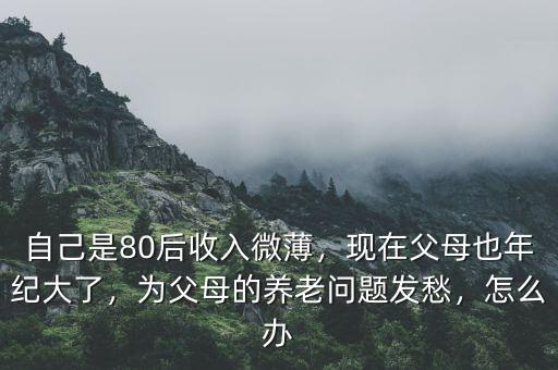 自己是80后收入微薄，現(xiàn)在父母也年紀大了，為父母的養(yǎng)老問題發(fā)愁，怎么辦