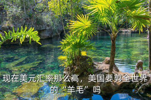 現(xiàn)在美元匯率那么高，美國(guó)要剪全世界的“羊毛”嗎