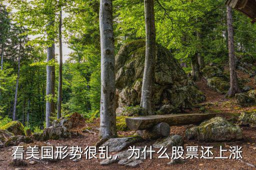 看美國(guó)形勢(shì)很亂，為什么股票還上漲
