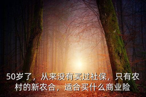 50歲了，從來沒有買過社保，只有農(nóng)村的新農(nóng)合，適合買什么商業(yè)險(xiǎn)
