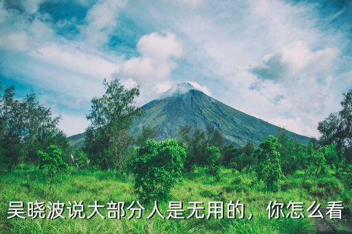 吳曉波說大部分人是無(wú)用的，你怎么看