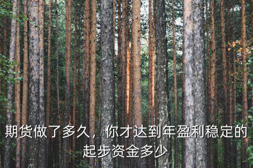 期貨做了多久，你才達(dá)到年盈利穩(wěn)定的起步資金多少