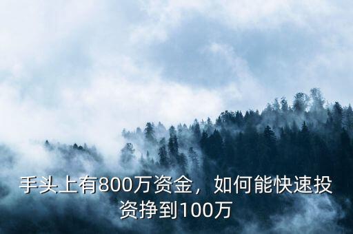 手頭上有800萬(wàn)資金，如何能快速投資掙到100萬(wàn)