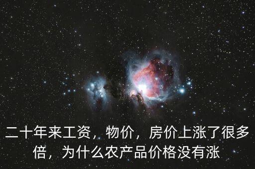 二十年來(lái)工資，物價(jià)，房?jī)r(jià)上漲了很多倍，為什么農(nóng)產(chǎn)品價(jià)格沒(méi)有漲