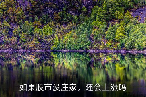如果股市沒莊家，還會上漲嗎