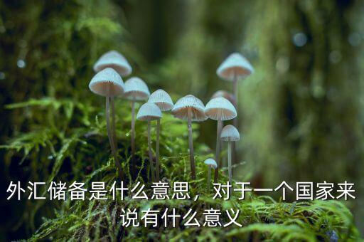 外匯儲備是什么意思，對于一個國家來說有什么意義