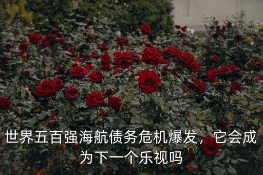 世界五百?gòu)?qiáng)海航債務(wù)危機(jī)爆發(fā)，它會(huì)成為下一個(gè)樂(lè)視嗎