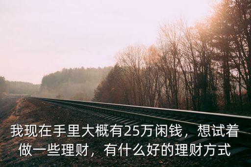 我現(xiàn)在手里大概有25萬閑錢，想試著做一些理財，有什么好的理財方式