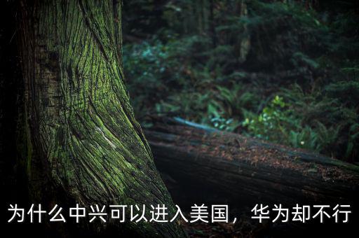 為什么中興可以進入美國，華為卻不行