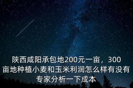 陜西咸陽(yáng)承包地200元一畝，300畝地種植小麥和玉米利潤(rùn)怎么樣有沒(méi)有專家分析一下成本